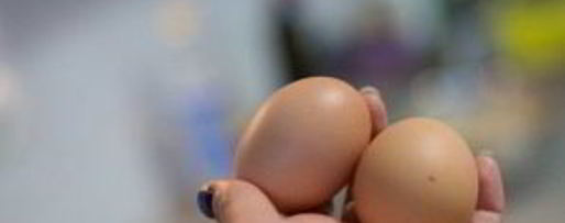 Шаг 1: рубленых котлет из куриной грудки