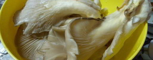 Шаг 1: грибная лазанья