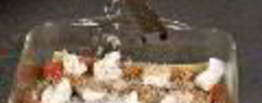 Шаг 5: лазаний с рикоттой и баклажанами