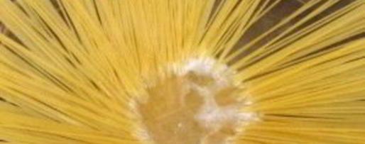 Шаг 5: макарон с грибами и сыром