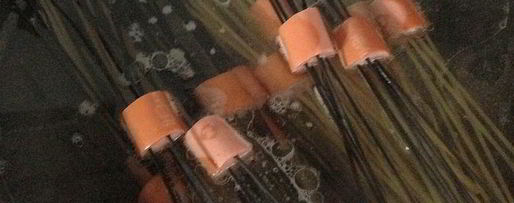 Шаг 3: макарон с сосисками осьминожки