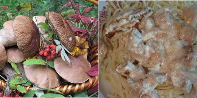 Рецепт пасты с белыми грибами