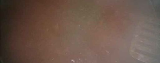 Шаг 21: пасты с соусом из томатов и сыра