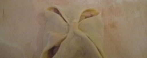 Шаг 9: мантов по-татарски