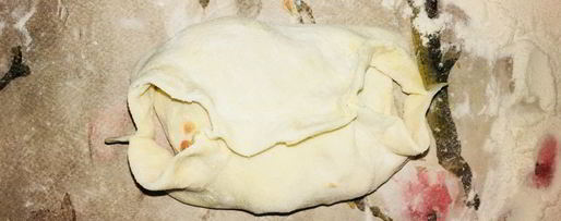 Шаг 8: мантов с мясом и тыквой