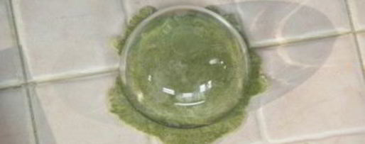 Шаг 3: мантов с зеленью