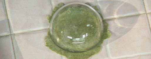 Шаг 3: зеленых мантов с тыквой