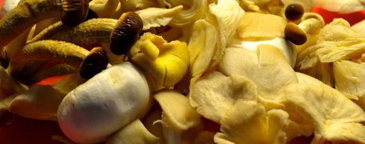 Шаг 6: морковных клецек с грибами