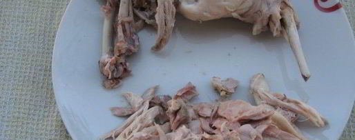 Шаг 1: тунца из кролика