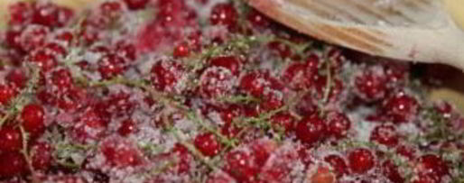 Шаг 1: желе из красной смородины 5-минутка