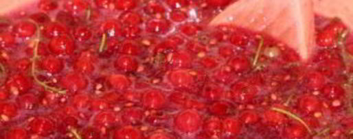 Шаг 3: желе из красной смородины 5-минутка