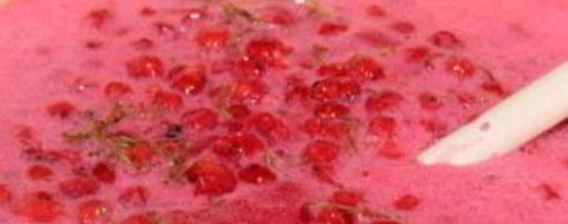 Шаг 4: желе из красной смородины 5-минутка