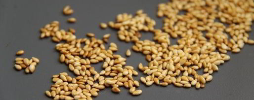 Шаг 6: зеленой фасоли с тахини и креветками