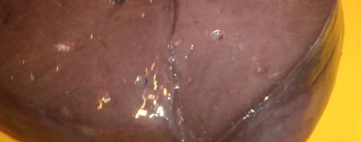 Шаг 1: говяжьей печени с яблоками и луком по-берлински