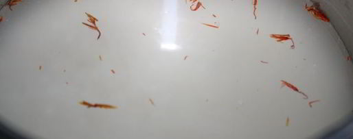 Шаг 8: индюшиной печени в сметанно-луковом соусе