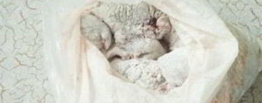 Шаг 1: тушеной печени