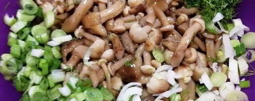 Шаг 17: запеченных куриных грудок с печенью