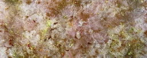 Шаг 5: запеченных куриных грудок с печенью