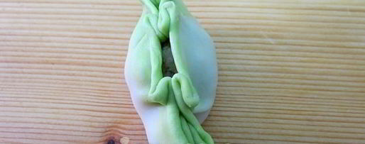 Шаг 26: цветных китайских пельменей