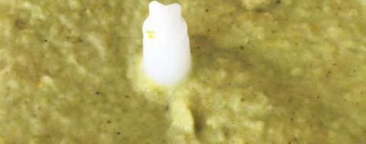 Шаг 3: пюре из брокколи и картофеля