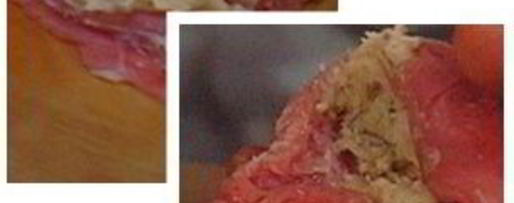 Шаг 2: филе теленка фаршированное маслом грецкого ореха с рагу из кольраби