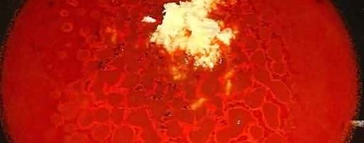 Шаг 36: рагу из баранины и овощей