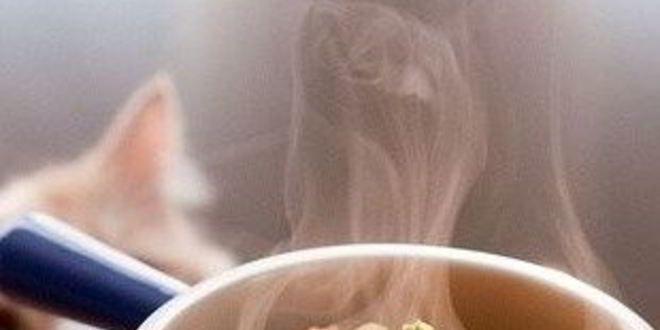 Рецепт рагу из чечевицы и белых грибов