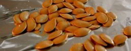 Шаг 2: рагу из тыквы и кабачков