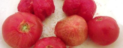 Шаг 6: рыбного рагу