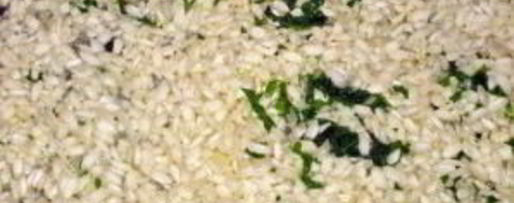 Шаг 2: ризотто классического