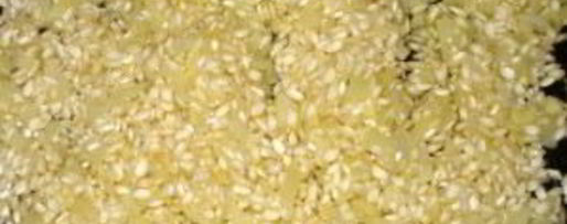 Шаг 1: ризотто с мидиями