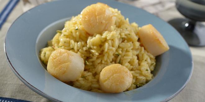 Рецепт ризотто с морским гребешком