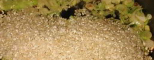 Шаг 2: ризотто с сыром пармезан