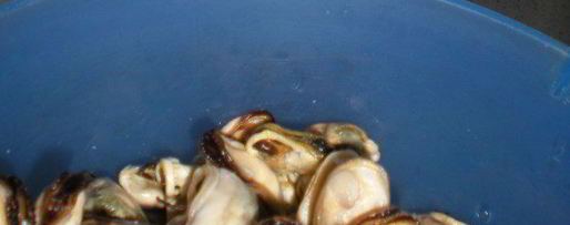 Шаг 4: желтого ризотто с морепродуктами