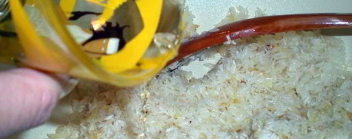 Шаг 7: желтого ризотто с морепродуктами