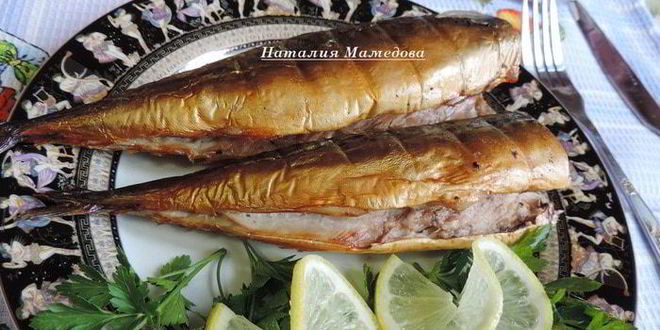 Рецепт домашней скумбрии горячего копчения