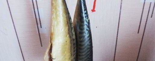 Шаг 2: домашней скумбрии горячего копчения