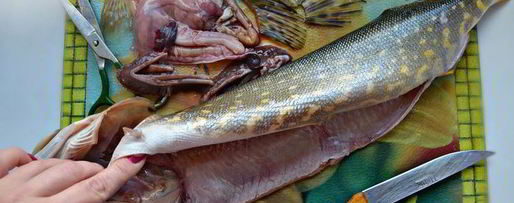 Шаг 2: фаршированной щуки в стиле фьюжн