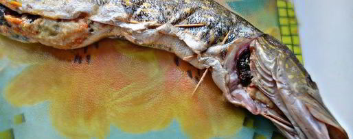 Шаг 9: фаршированной щуки в стиле фьюжн