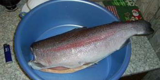 Рецепт форели морской, запеченой в сметане