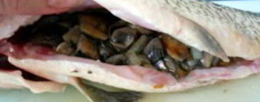 Шаг 4: карпа, фаршированного грибами