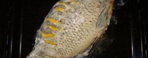 Шаг 2: карпа, фаршированного в духовке