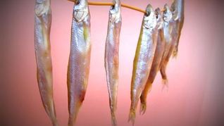 Рецепт Корюшки вяленой