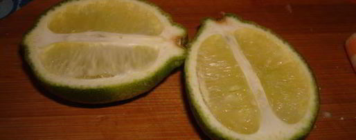 Шаг 3: креветок в белом вине по-португальски