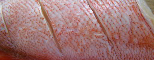 Шаг 2: окуня в мультиварке