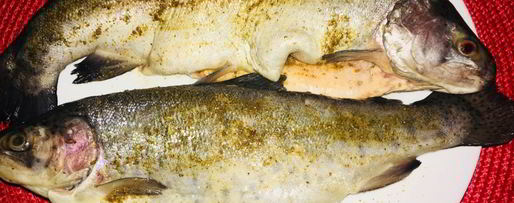 Шаг 2: радужной форели в духовке с рисом на гарнир