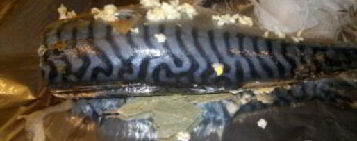 Шаг 6: рыбы, запеченной в мультиварке