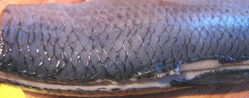 Шаг 1: селедки без шубы теплая зима