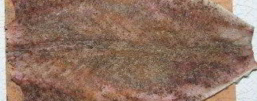 Шаг 2: скумбрии в духовке с картофелем