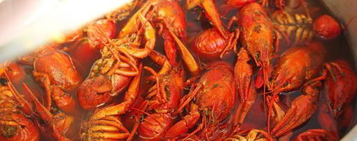 Шаг 5: вареных раков